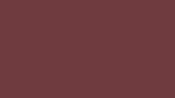 Dolphinite Gelcoat 2k Aerosol Can - Claret – dolphinitestore